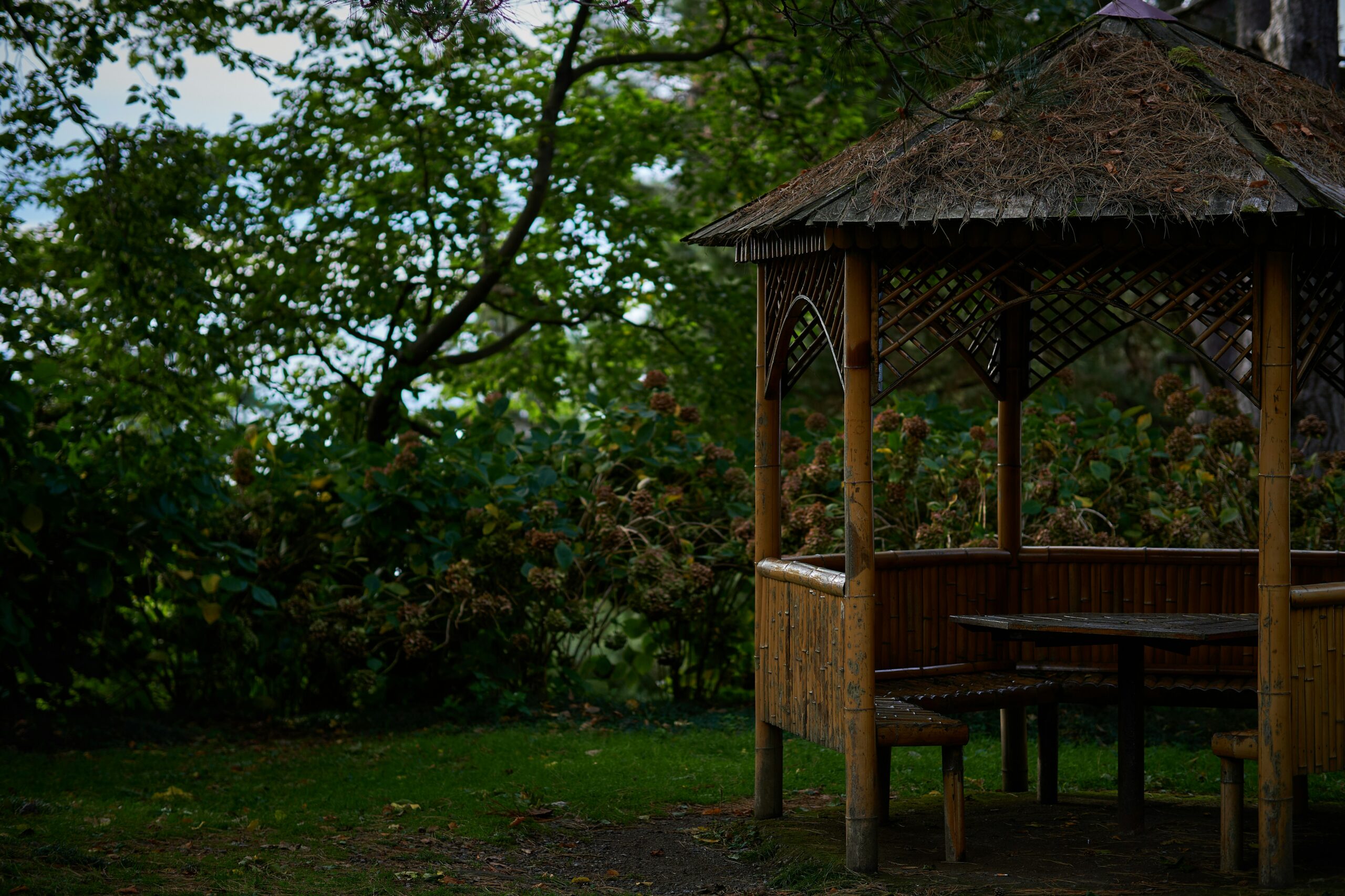 karen-kasparov-m5-5bNFO-j8-unsplash