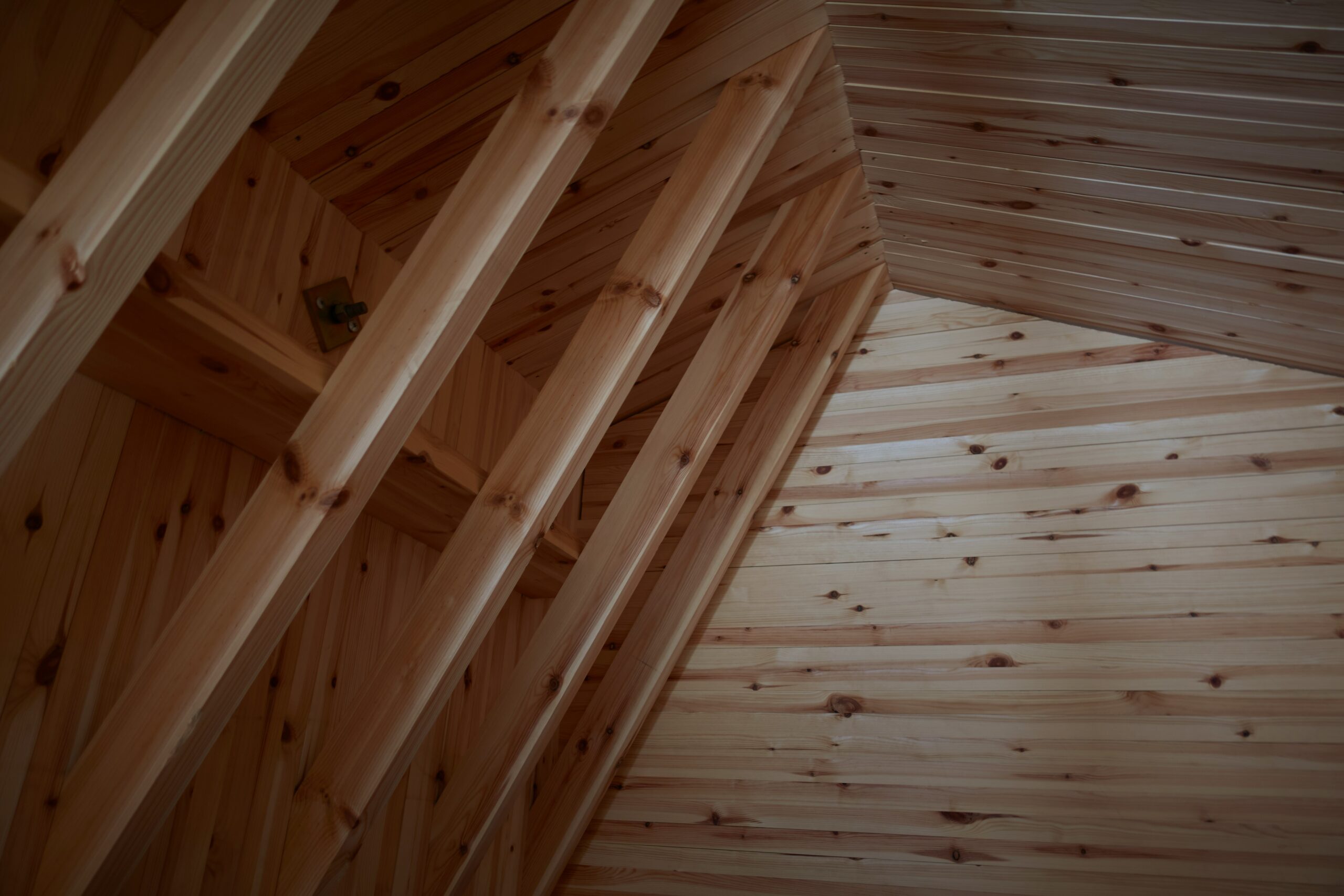tim-oun-nc8a3yQVURc-unsplash